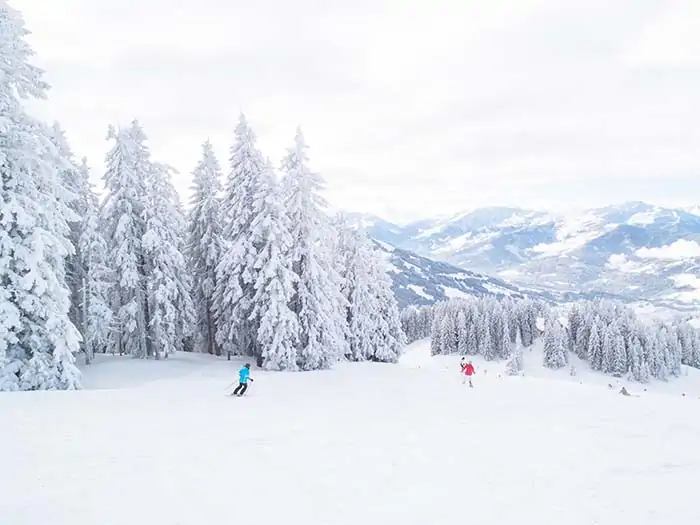 Skifahrer im verschneiten Wald mit Bergen