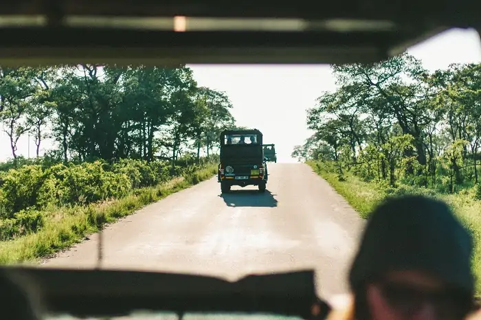 Reisedauer-für-Safari im Krüger-Nationalpark