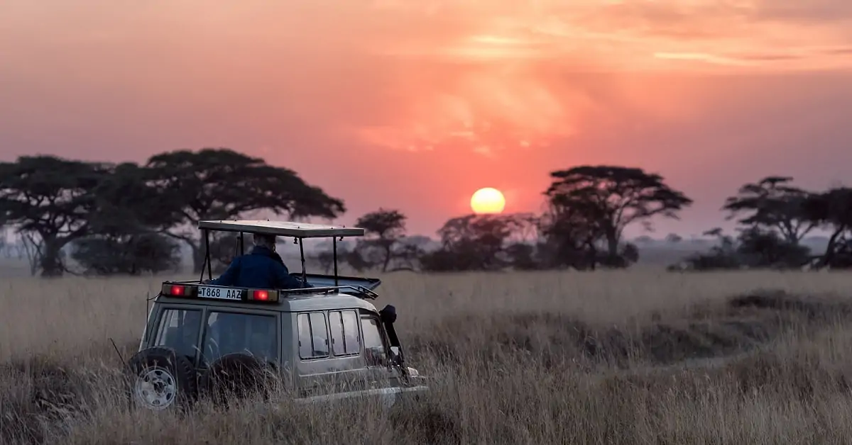 safari-im-krüger-nationalpark-1200x628